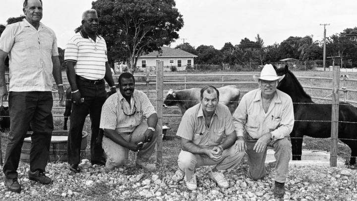 TimeBack – East End Farmer, The story of Gillard Mclaughlin